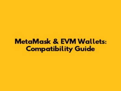 MetaMask & EVM Wallets: Compatibility Guide
